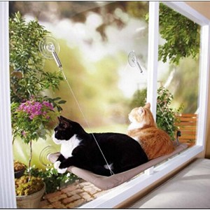 Cat Kitten Hanging Window Bed
