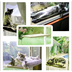 Cat Kitten Hanging Window Bed