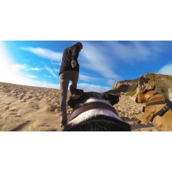 Dog Harness Chest Fetch Strap Belt Mount for Action Camera
