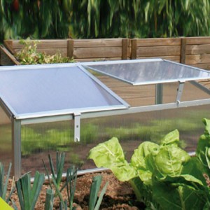 Mini Greenhouse with Cover